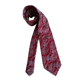 XMI Platinum Paisley Silk Tie